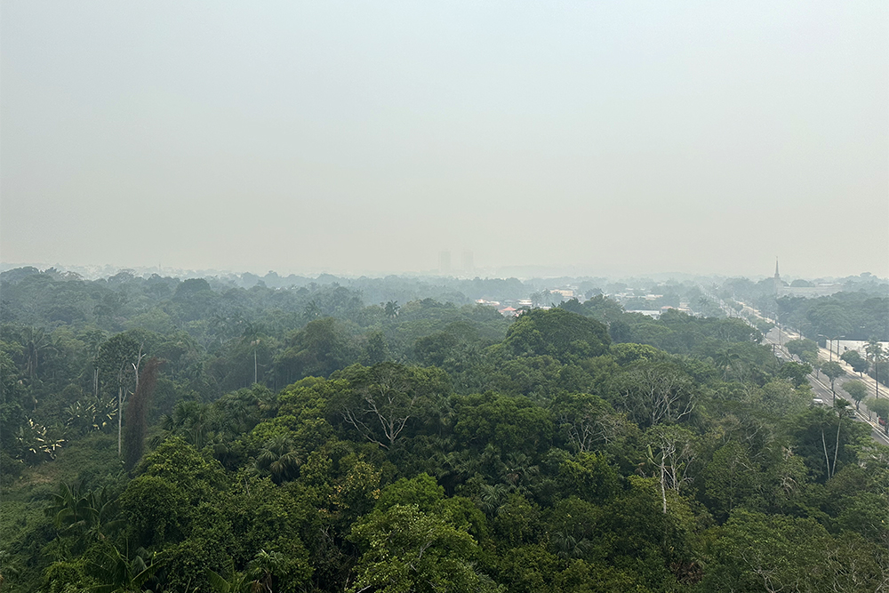 Manaus, esfuma&ccedil;ada, &eacute; fichinha