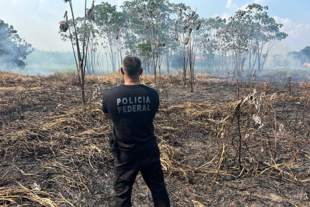 Dupla é presa em flagrante por prática de queimada ilegal no Amazonas Dupla é presa em flagrante por prática de queimada ilegal no Amazonas