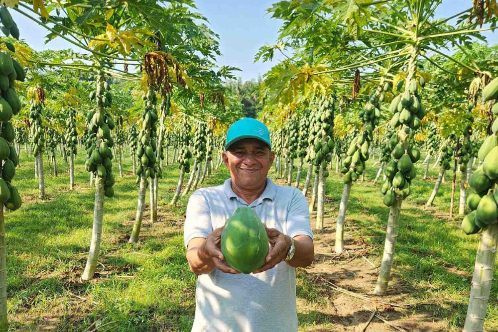 Pavimenta&ccedil;&atilde;o de ramais, estradas e rodovias beneficia a produ&ccedil;&atilde;o rural no AM