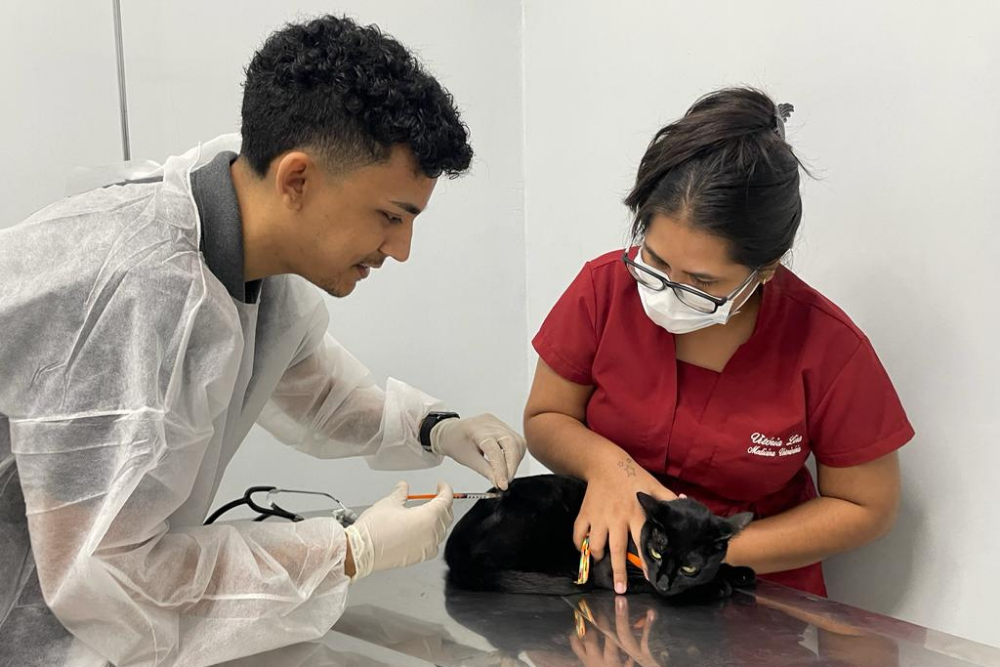 Nilton Lins promove Outubro Rosa Pet para prevenção do câncer de mama em animais Nilton Lins promove Outubro Rosa Pet para prevenção do câncer de mama em animais