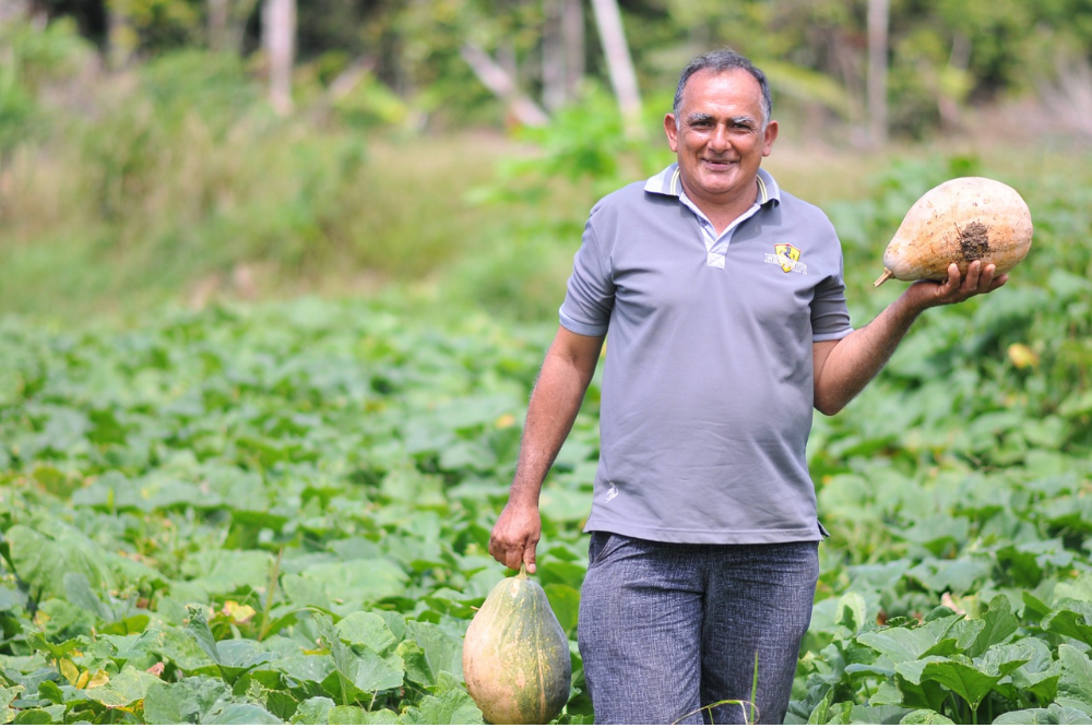 Seduc abre edital para aquisição de gêneros alimentícios da Agricultura Familiar Seduc abre edital para aquisição de gêneros alimentícios da Agricultura Familiar