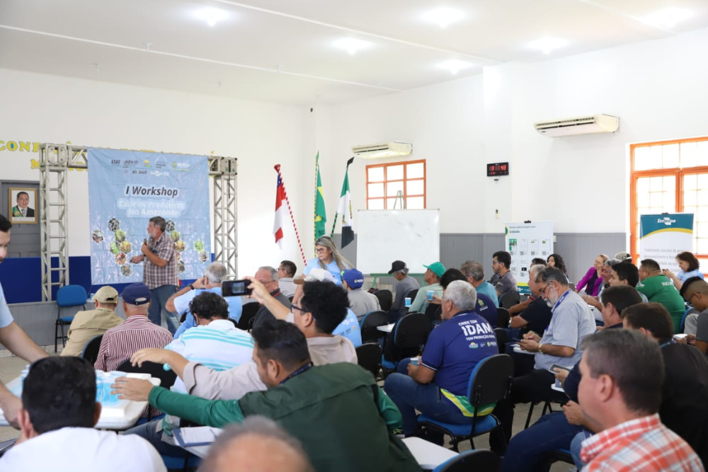 Mais de 80 produtores rurais do AM participam de Workshop da Cadeia Produtiva da Citricultura Mais de 80 produtores rurais do AM participam de Workshop da Cadeia Produtiva da Citricultura