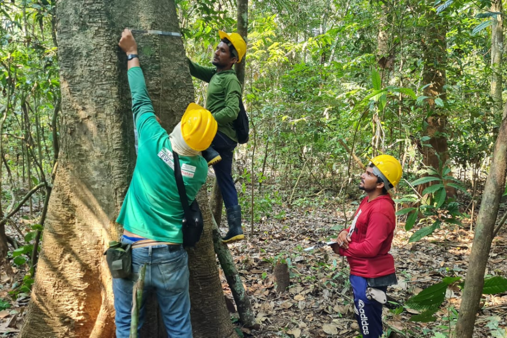 Moradores da Resex Canutama s&atilde;o capacitados para constru&ccedil;&atilde;o de invent&aacute;rio florestal