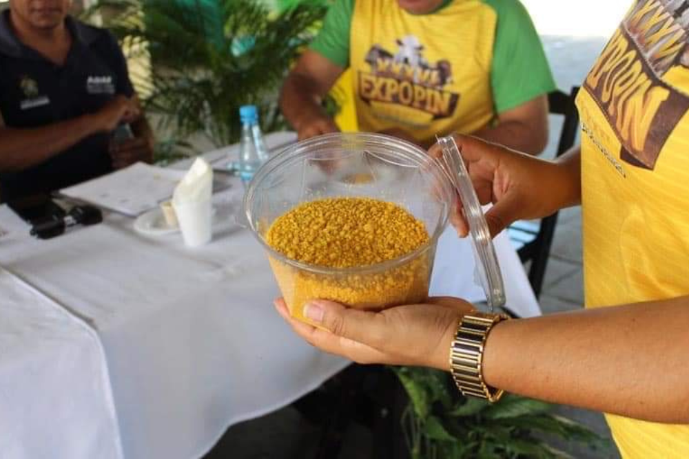 Expopin vai comercializar queijos, doce de leite e farinha inscritos em concursos 