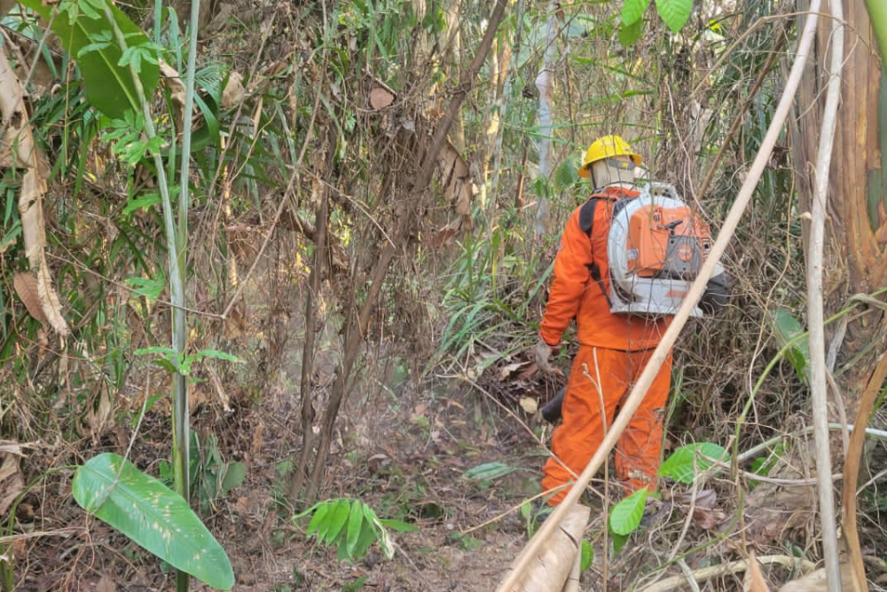 Diminui&ccedil;&atilde;o das chuvas favoreceu reaparecimento de focos de inc&ecirc;ndio, diz Ibama