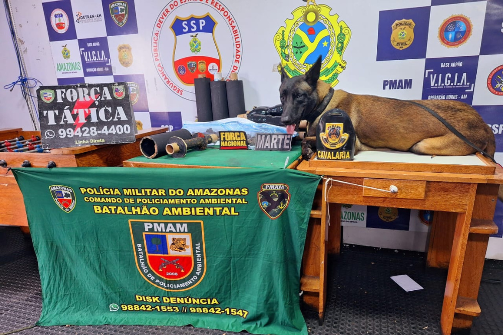 Cerca de 12kg de entorpecentes s&atilde;o apreendidos em embarca&ccedil;&atilde;o com destino a Manaus