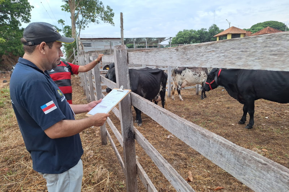 Adaf atua na fiscalização e realiza palestras sobre defesa animal e vegetal na Expopin Adaf atua na fiscalização e realiza palestras sobre defesa animal e vegetal na Expopin