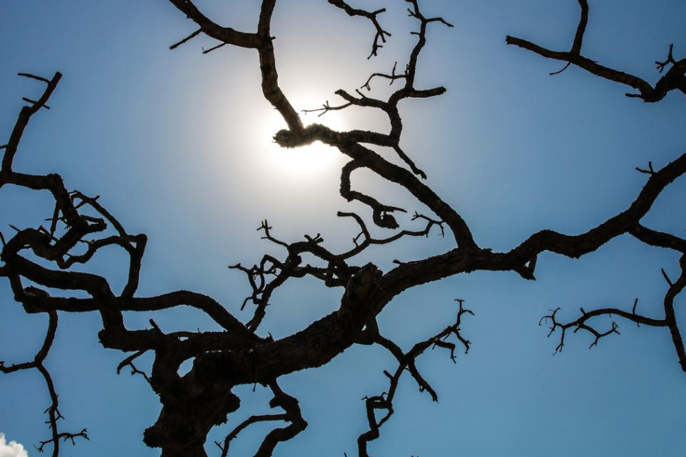 Brasil registra recorde da temperatura m&eacute;dia pelo quarto m&ecirc;s seguido