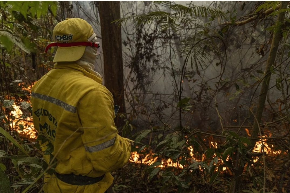 Número de brigadistas combatendo incêndios florestais aumentou 12,3% Número de brigadistas combatendo incêndios florestais aumentou 12,3%