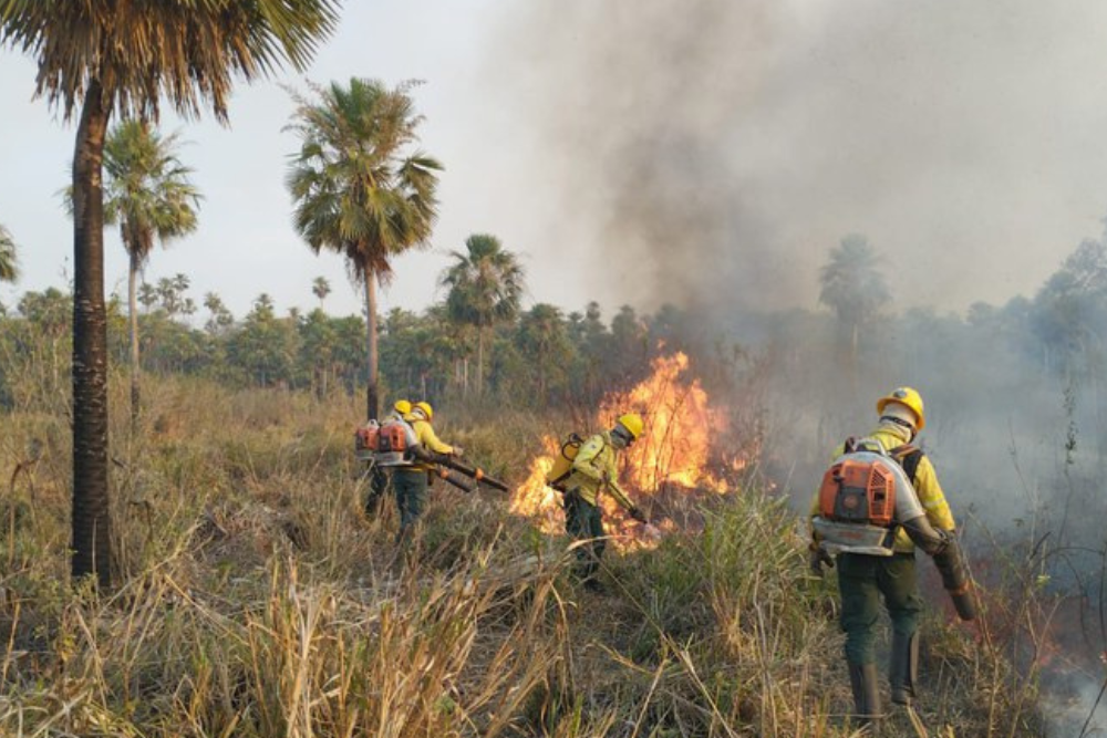 Ibama forma 60 novos brigadistas no interior do Amazonas Ibama forma 60 novos brigadistas no interior do Amazonas