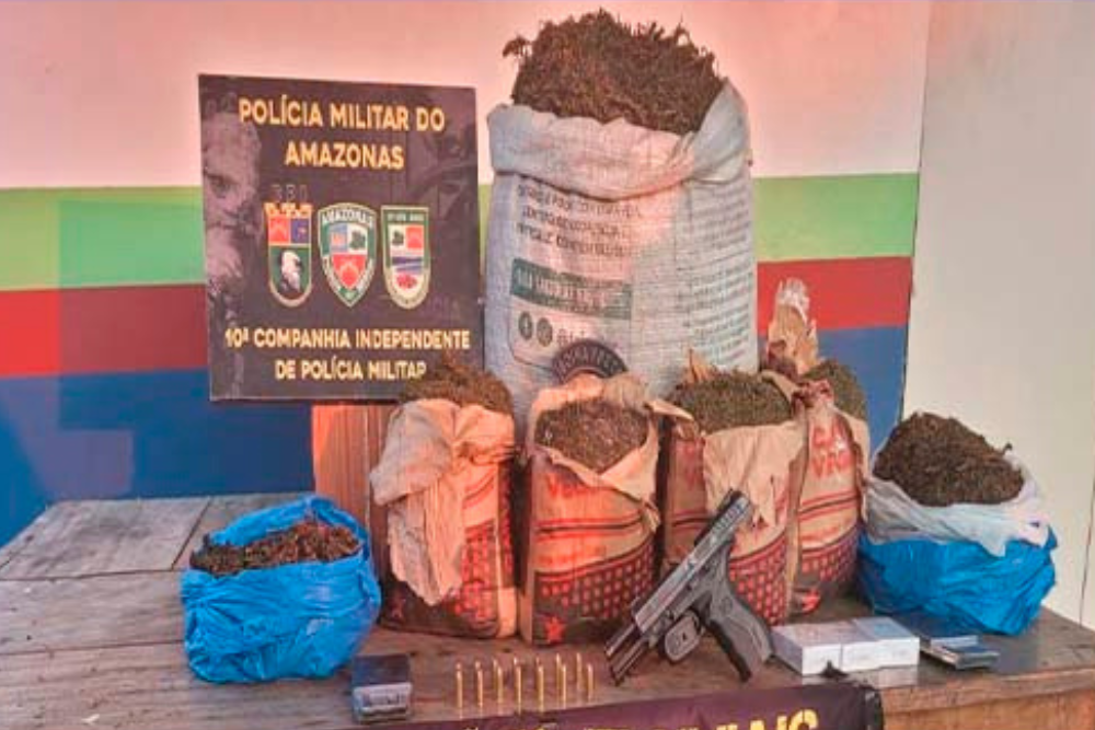Operação Paz apreende quase 13kg de entorpecentes em Maués Operação Paz apreende quase 13kg de entorpecentes em Maués