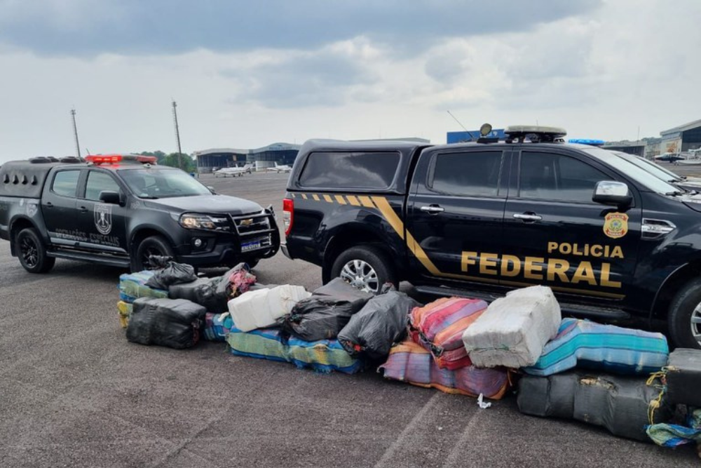 PF apreende quase 2 toneladas de maconha em &aacute;rea de mata no AM