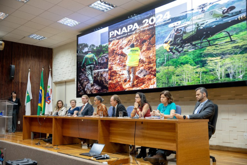 Ibama inicia planejamento nacional para proteção ambiental em 2024 Ibama inicia planejamento nacional para proteção ambiental em 2024
