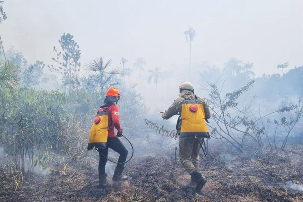 Operação já combateu mais de 2 mil incêndios no interior do AM Operação já combateu mais de 2 mil incêndios no interior do AM