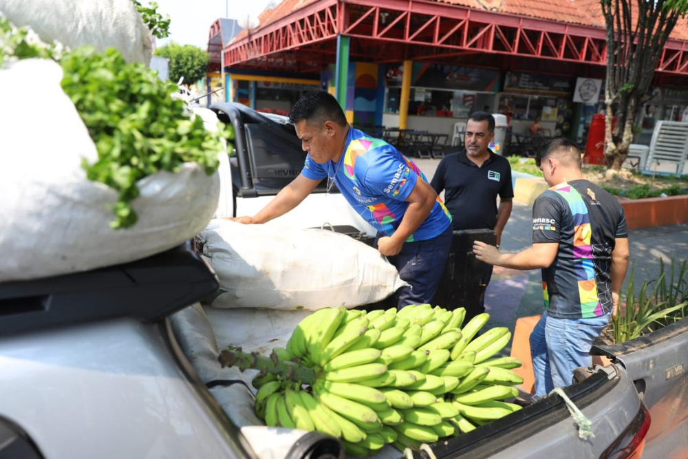 Estado já investiu R$ 380 mil na compra de alimentos da agricultura familiar de Iranduba, Itacoatiara e Manaus Estado já investiu R$ 380 mil na compra de alimentos da agricultura familiar de Iranduba, Itacoatiara e Manaus