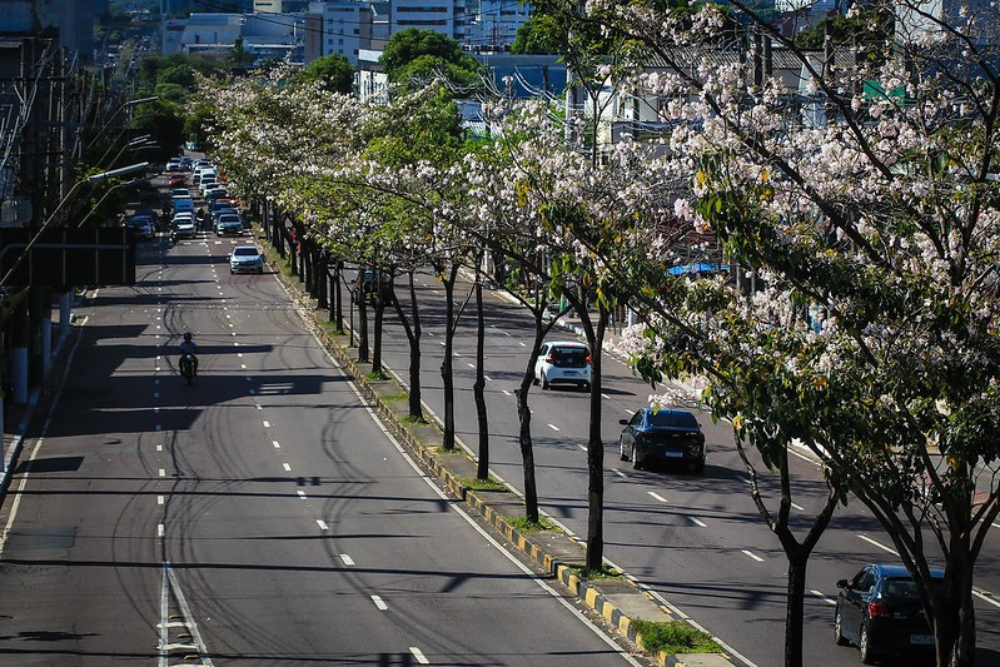 Manaus vai receber projeto ambiental da ONU