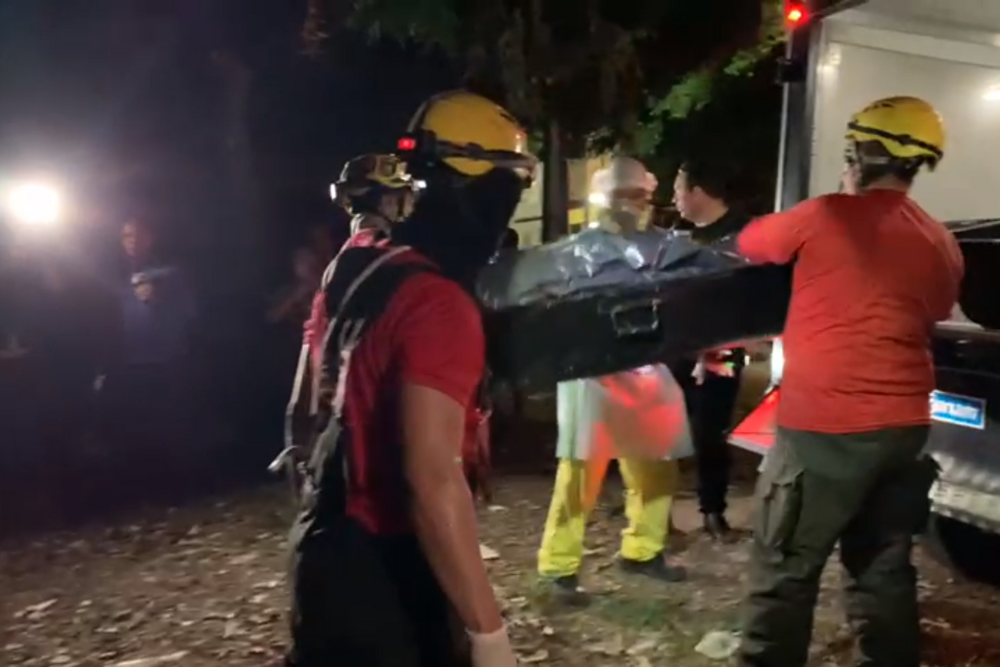 Corpo em estado de decomposição é encontrado em área de mata na Cidade Nova Corpo em estado de decomposição é encontrado em área de mata na Cidade Nova