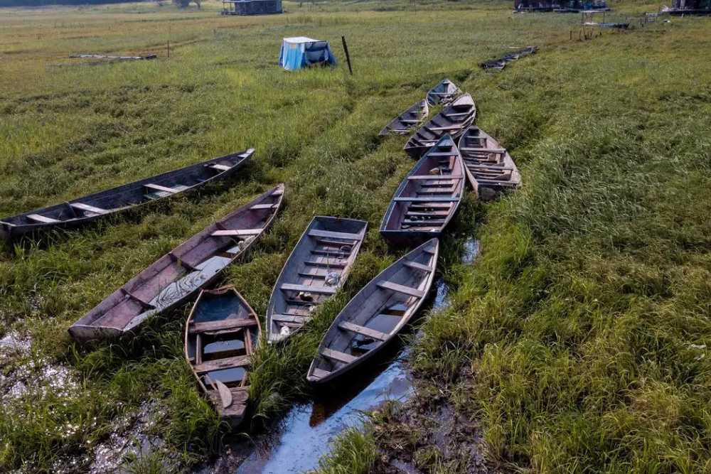 Auxílio a pescador atingido por seca no Norte começa a ser pago hoje Auxílio a pescador atingido por seca no Norte começa a ser pago hoje