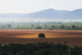 Avanço do agronegócio no Cerrado impulsiona riqueza e agrava crise ambiental