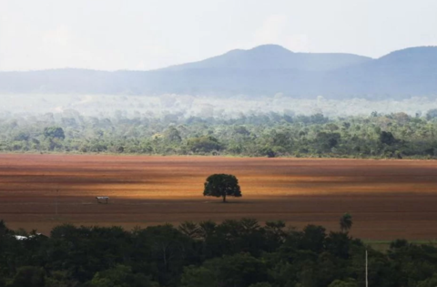 Avanço do agronegócio no Cerrado impulsiona riqueza e agrava crise ambiental