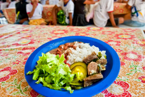 Dia Nacional da Alimentação Escolar: Programa Pnae atende 40 milhões de estudantes por dia