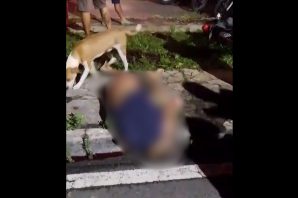 Motociclista morre ao bater a cabeça em sarjeta na Cidade Nova Motociclista morre ao bater a cabeça em sarjeta na Cidade Nova