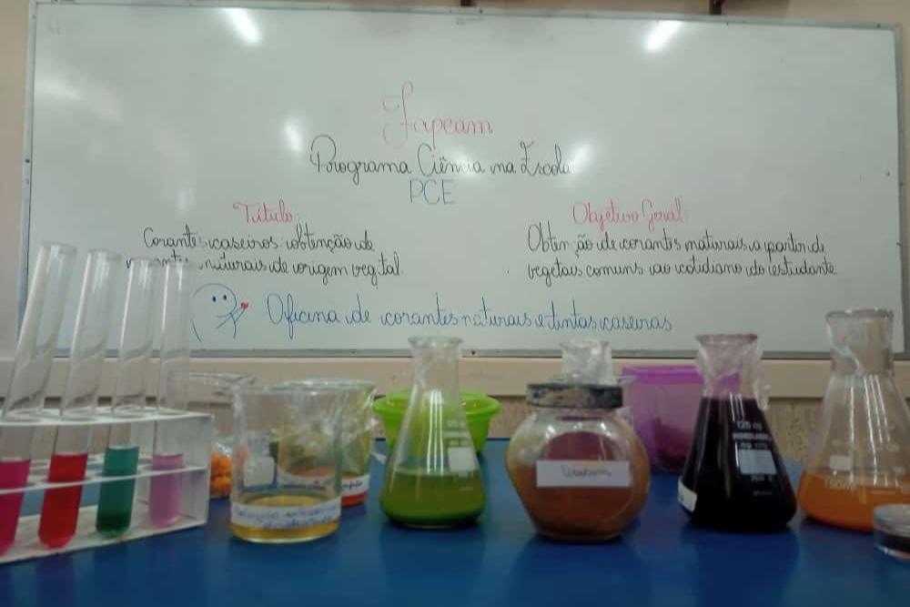 Em Tef&eacute;, estudantes produzem corante natural a partir de vegetais