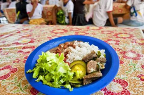 Câmara aprova projeto de compra de alimentos para merenda escolar