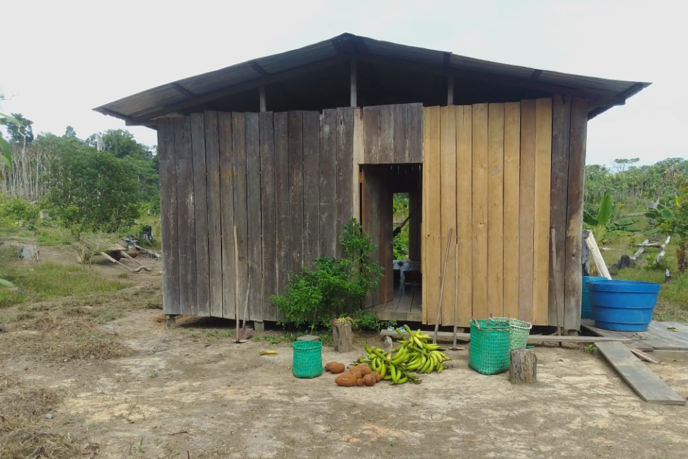 Justiça suspende retirada de famílias que ocupam área rural em Carauari há 50 anos Justiça suspende retirada de famílias que ocupam área rural em Carauari há 50 anos