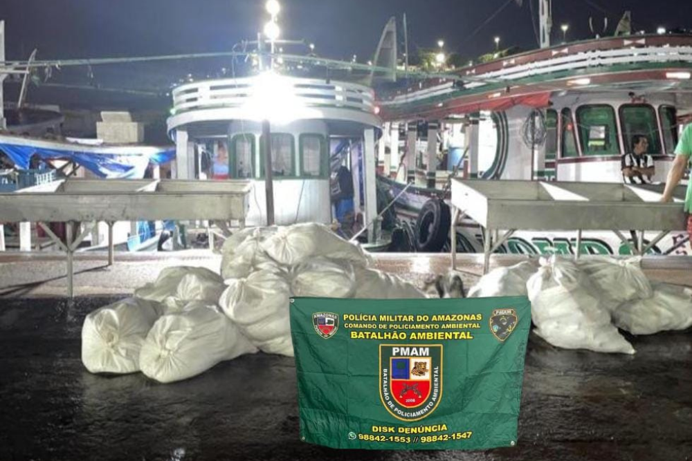 Polícia apreende mais de uma tonelada de pescado ilegal na feira da Panair Polícia apreende mais de uma tonelada de pescado ilegal na feira da Panair