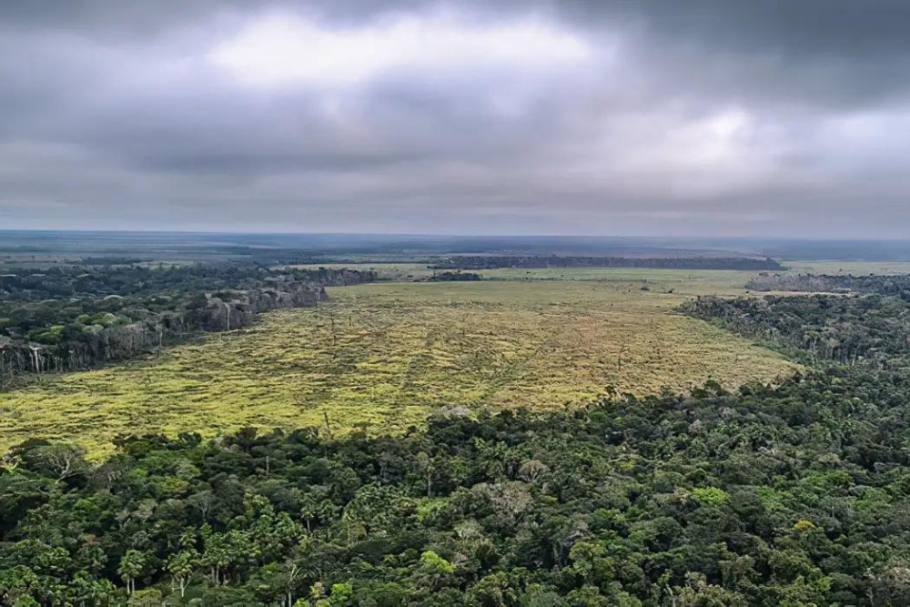 Alerta do Inpe aponta aumento de 55% no desmatamento da Amazônia em abril Alerta do Inpe aponta aumento de 55% no desmatamento da Amazônia em abril