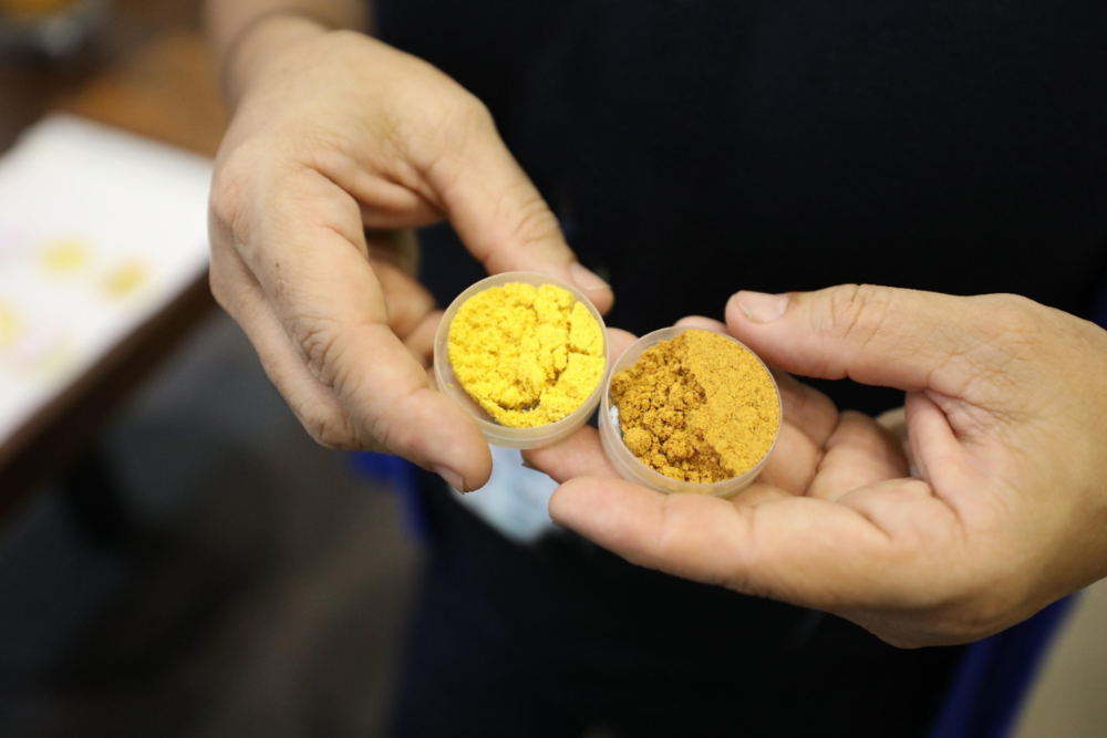 Res&iacute;duos de frutos amaz&ocirc;nicos s&atilde;o usados para produzir corante natural