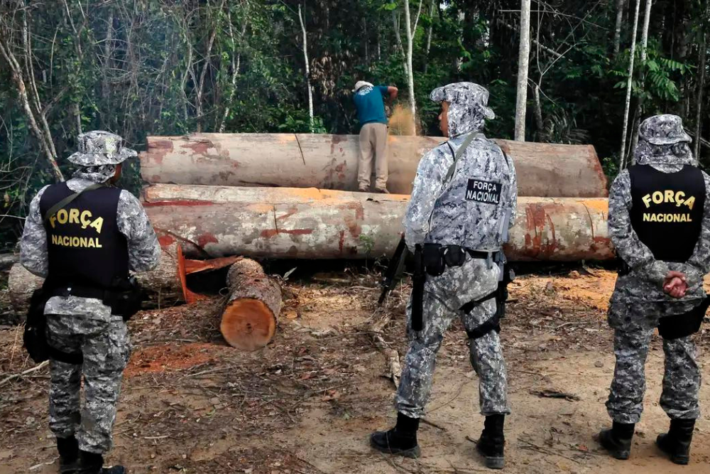Governo prorroga atua&ccedil;&atilde;o da For&ccedil;a Nacional na Amaz&ocirc;nia Legal