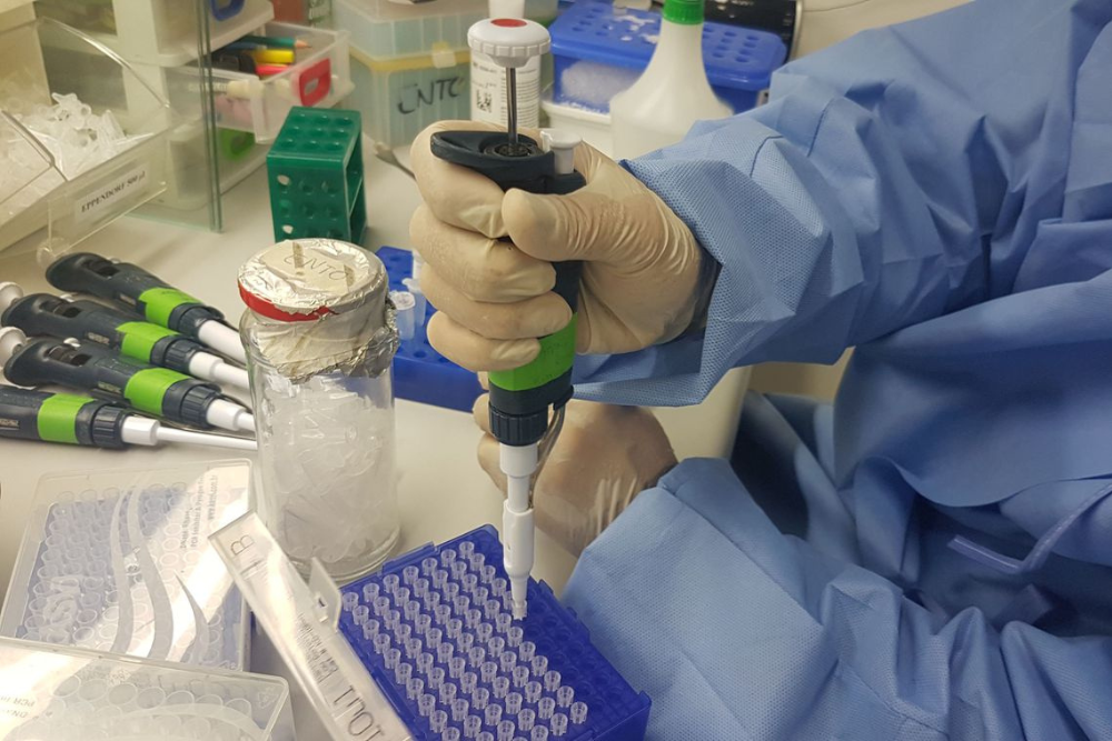 Conheça os exames de check-up para iniciar 2024 com a saúde em dia Conheça os exames de check-up para iniciar 2024 com a saúde em dia