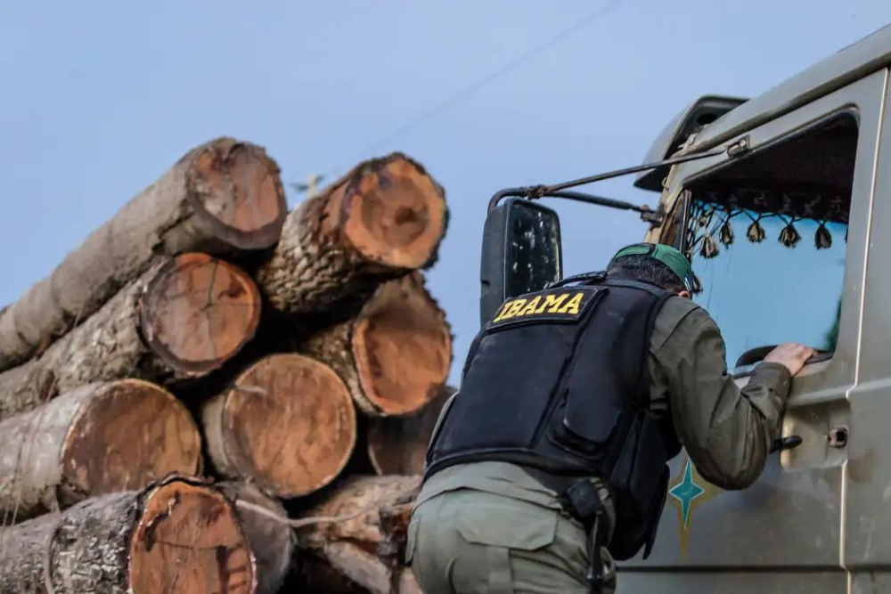 Servidores do Ibama prometem suspender fiscaliza&ccedil;&atilde;o ambiental