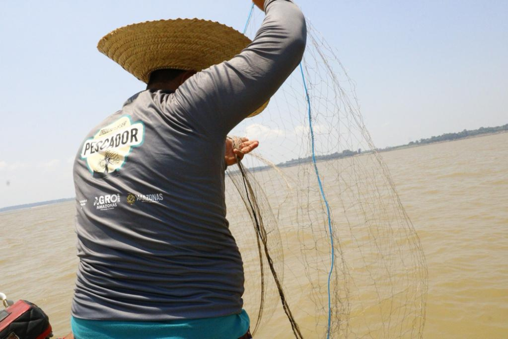 Amazonas impulsiona piscicultura com entrega de mais de 1 milhão de alevinos Amazonas impulsiona piscicultura com entrega de mais de 1 milhão de alevinos