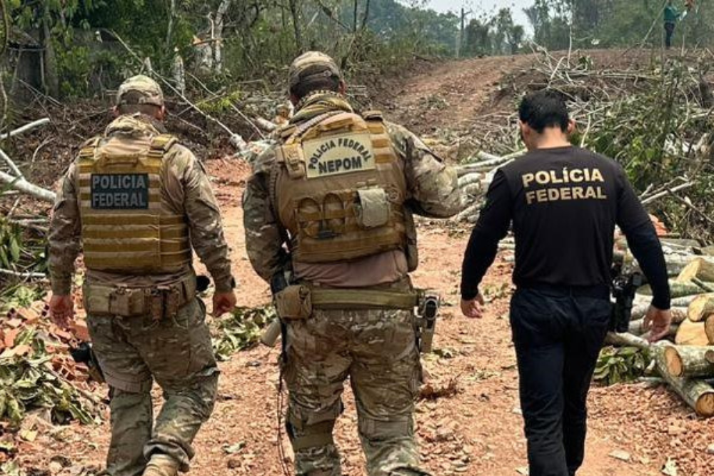 Homem é preso em flagrante por transporte de madeira ilegal no Porto Chibatão Homem é preso em flagrante por transporte de madeira ilegal no Porto Chibatão