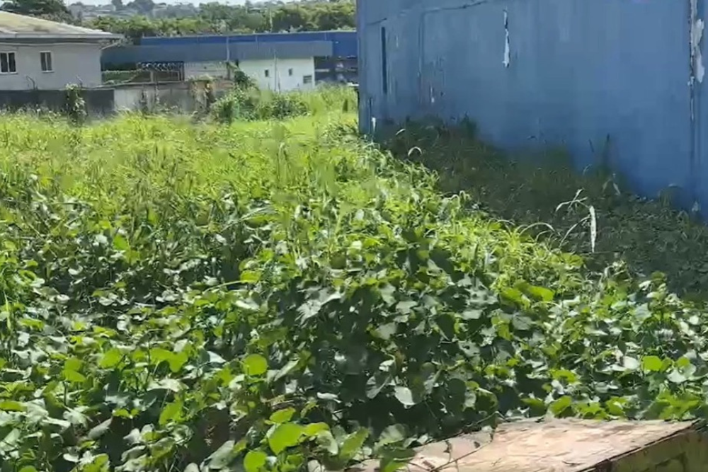 Jovem em situa&ccedil;&atilde;o de rua &eacute; morto com cinco tiros na avenida Autaz Mirim