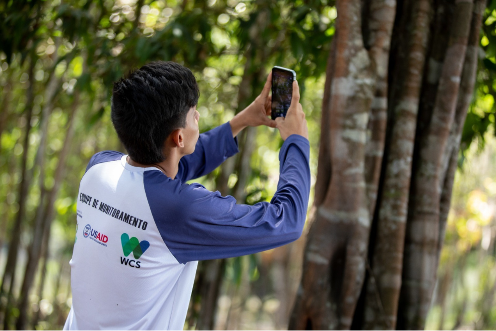 Amazonas é o primeiro estado brasileiro a adotar software Smart para monitor a biodiversidade Amazonas é o primeiro estado brasileiro a adotar software Smart para monitor a biodiversidade