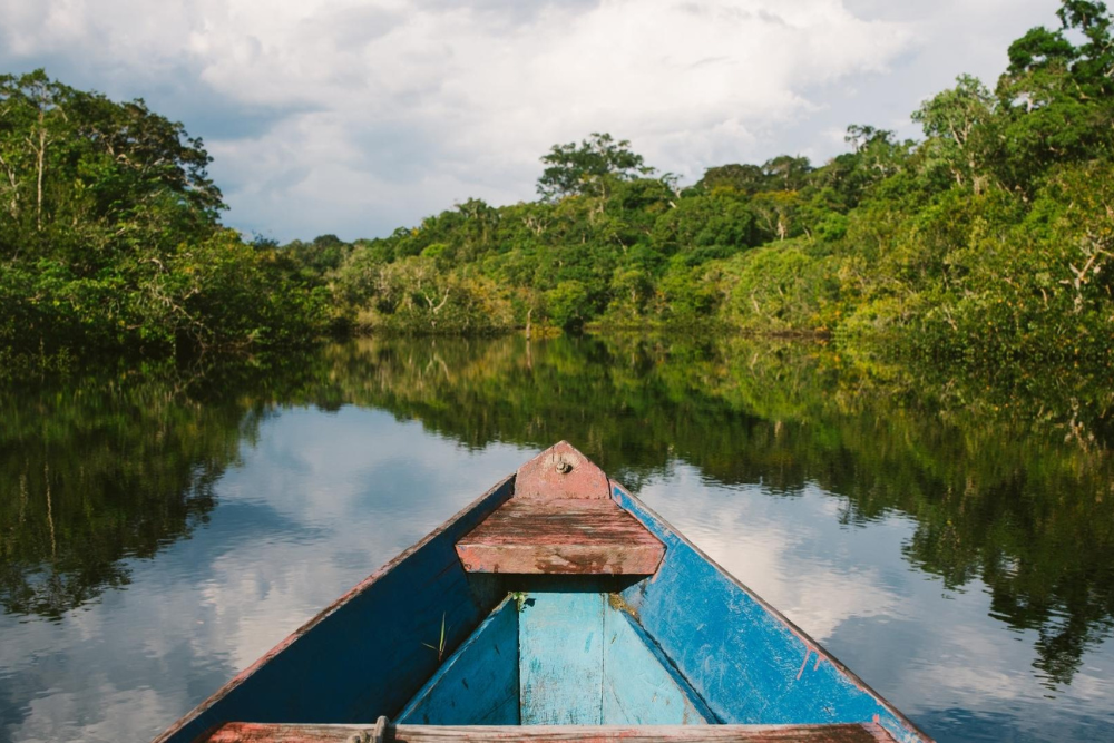 Nilton Lins lança curso superior inédito no Brasil de Biotecnologia Amazônica Nilton Lins lança curso superior inédito no Brasil de Biotecnologia Amazônica