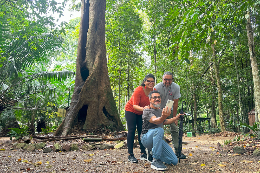 Bosque da Ci&ecirc;ncia &eacute; op&ccedil;&atilde;o nas f&eacute;rias para curtir a natureza amaz&ocirc;nica em Manaus