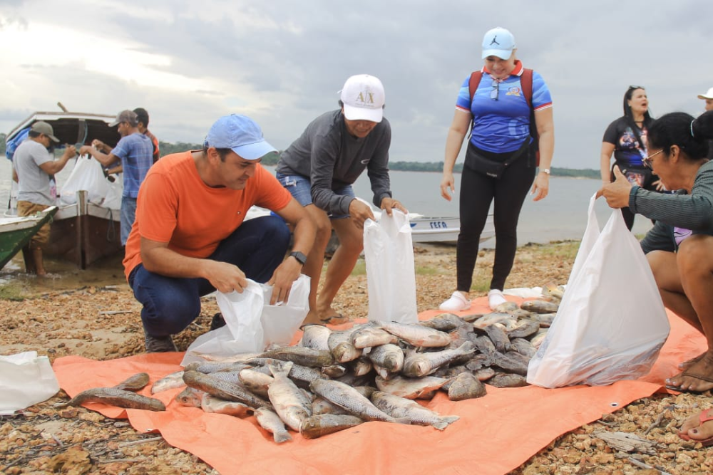Prefeitura distribui 13 toneladas de pescados para famílias da região do Uaicurapá, em Parintins Prefeitura distribui 13 toneladas de pescados para famílias da região do Uaicurapá, em Parintins