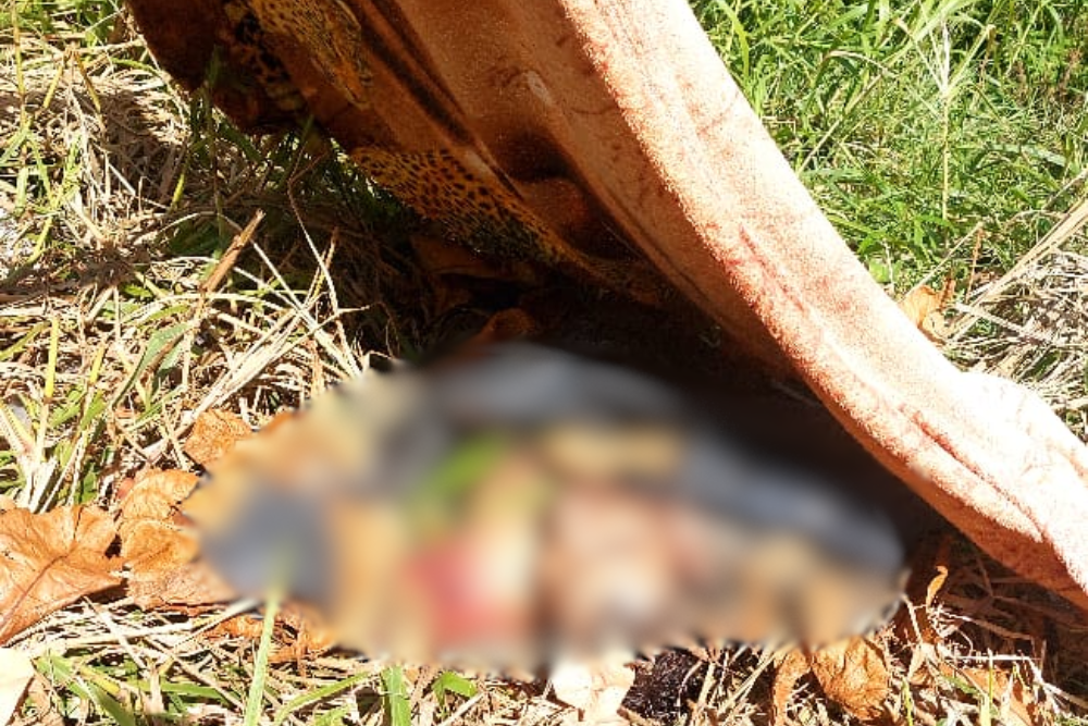 Entregador que estava desaparecido &eacute; encontrado morto no bairro da Gl&oacute;ria