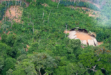 Amazônia registra desmatamento do tamanho da França em 40 anos