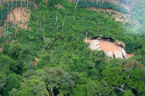 Amazônia registra desmatamento do tamanho da França em 40 anos
