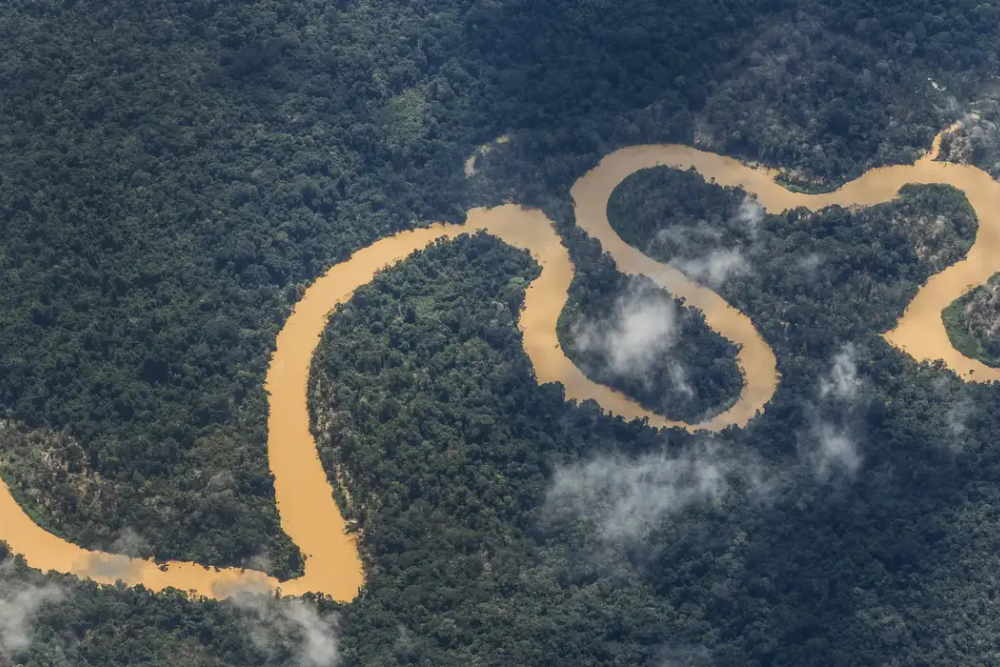 Garimpo desacelera, mas segue inviabilizando saúde do povo Yanomami Garimpo desacelera, mas segue inviabilizando saúde do povo Yanomami