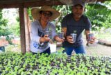 No Amazonas, ações de sustentabilidade doam copos plásticos 'reciclados' para plantio de mudas