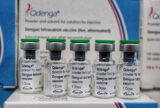 Novo lote de vacinas contra dengue começa a ser distribuído nesta segunda (31)