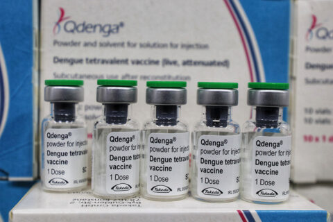 Novo lote de vacinas contra dengue começa a ser distribuído nesta segunda (31)