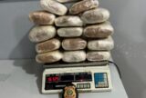 Polícia prende mulher com mais de 16 kg de cocaína em lancha no interior do Amazonas